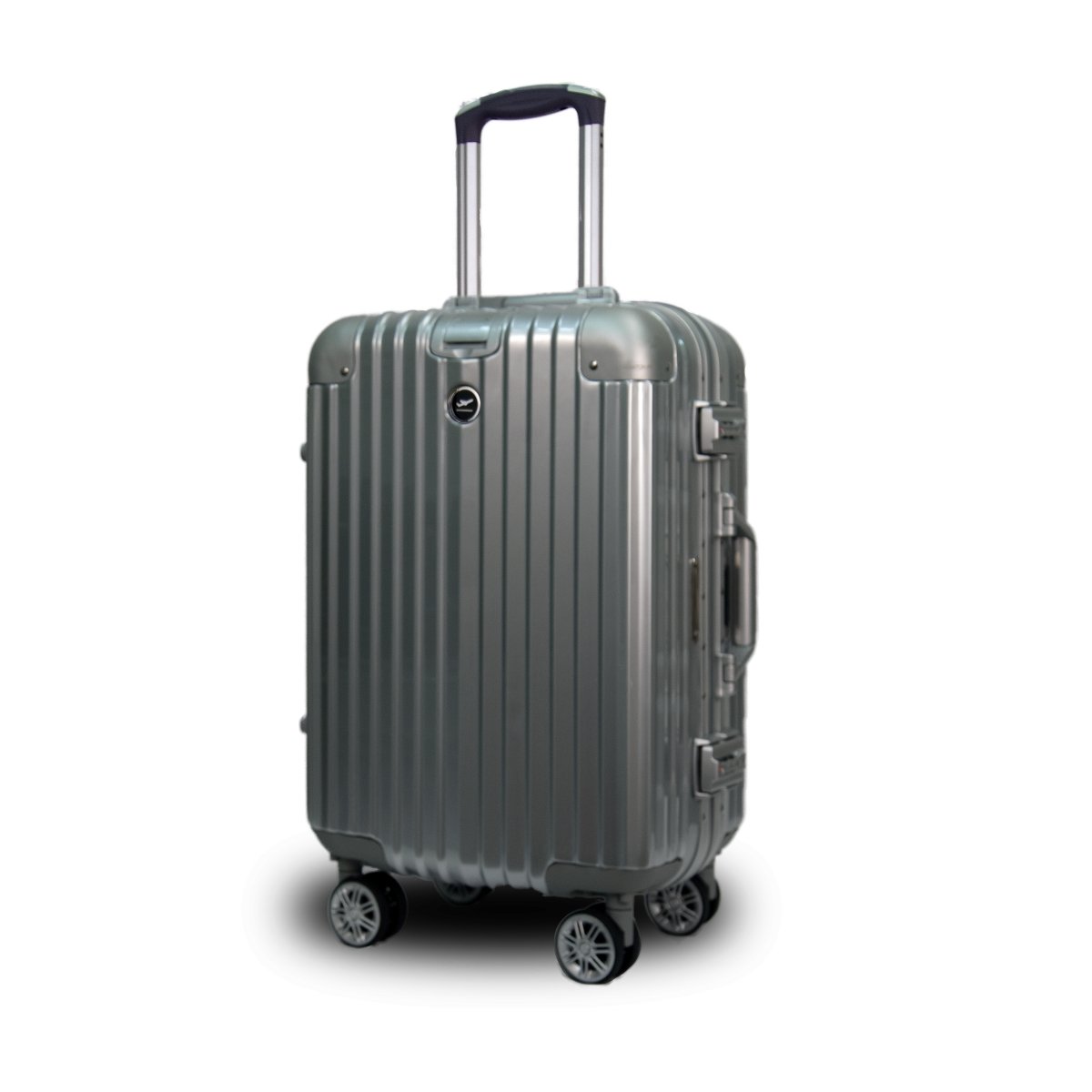Aviator Pro Fusion 20 - MYGOFLIGHT